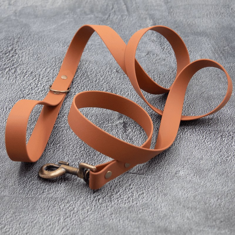 Classy pup - hundesnor - HipsterHound